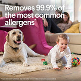 ▶ Clorox Toallas Húmedas Desinfectantes Aroma Limón 75 Unidades