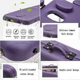 Cama de Masaje, de Aluminio Ligero de Belleza Tatuaje Cama del Balneario Portátil Acupuntura Cama Mesa de Masaje (Color : Style2)
