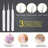 Herramienta removedora de puntos negros, Boxoyx 10 piezas profesional extractor de comedones de espinillas, kit de eliminación de acné – Tratamiento para espinillas, puntos negros, eliminación de zit, frente, facial y nariz (plata)