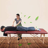 Cama de Masaje, Cama de Espuma de Memoria Portátil de Belleza Fisioterapia Cama de Masaje Mesa de Masaje (Color : Red Wine)