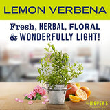 Mrs. Meyer's Clean Day Multi-Surface Everyday Cleaner, Lemon Verbena, 16 fl oz, 3 ct