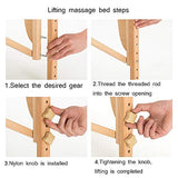 Cama de Masaje Portátil, Inicio de Belleza Cama Ajustable Altura del Salón del Tatuaje SPA Alojamiento Mesa de Masaje (Color : Style1)