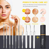 Herramienta removedora de puntos negros, Boxoyx 10 piezas profesional extractor de comedones de espinillas, kit de eliminación de acné – Tratamiento para espinillas, puntos negros, eliminación de zit, frente, facial y nariz (plata)