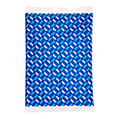 Amazon Basics - Paquete de hielo reutilizable, 6.7 x 4.3 pulgadas, azul, paquete de 4 pies